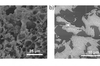 Design of Multi-functional and Multi-pore Solid Catalysts