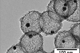 Nanostrukturierte Katalysatoren