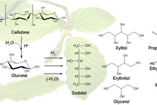 Katalysatoren zur hydrolytischen Hydrierung von Cellulose in Mono- und Polyole