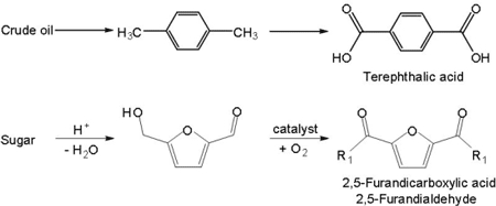 Reaktions- und Katalysatorsysteme zur Gewinnung zuckerbasierter Monomere zur Herstellung von Biopolymeren
