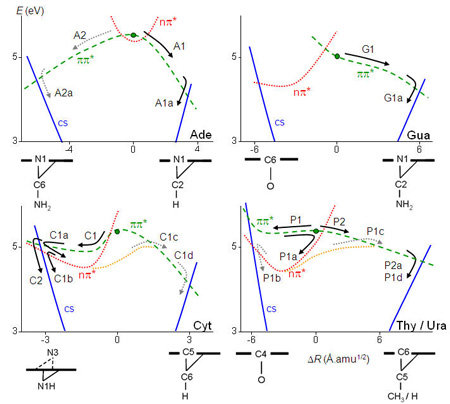 Ultrafast and Nonadiabatic Phenomena