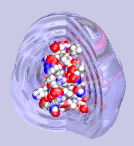 Correlated Collective Dynamics in Proteins and their Solvating Environment