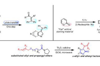 Stereoselective Synthesis and Catalysis