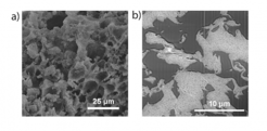 Scanning-electron micrographs of the outer surface (a) and the interior structure (b) of a solid catalyst particle showing connected porosities at both the nanometer (mesopores) and the micrometer (micropores) length scales