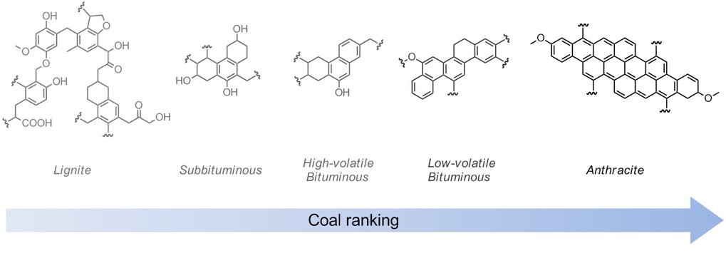 Coal