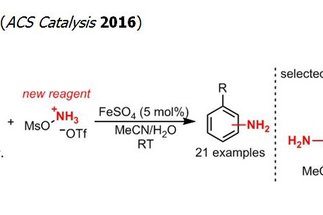 Direct Catalytic Synthesis of Unprotected Amines