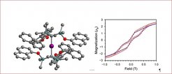 Progress on the path to molecule based magnetic storage media:
An international team of scientist has succeeded to synthesize and comprehensively characterize a magnetically switchable molecule that thus far had only been predicted by theory. The results lead the way to molecule based magnetic storage media.