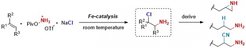 A new catalytic method for the synthesis of amines. Bill Morandi and his team report on a simple iron-catalyzed reaction that leads to unprotected primary amines