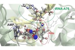 Scientists from Neese-Group involved in the construction of a