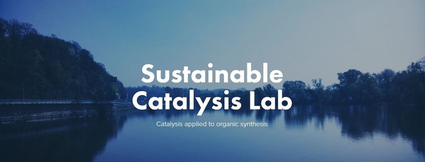 Nachhaltige Katalyse für die Organische Synthese