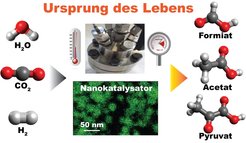 CO2-Umwandlung in frühesten biochemischen Prozessen