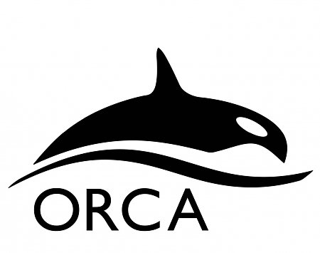 orca chemistry software download