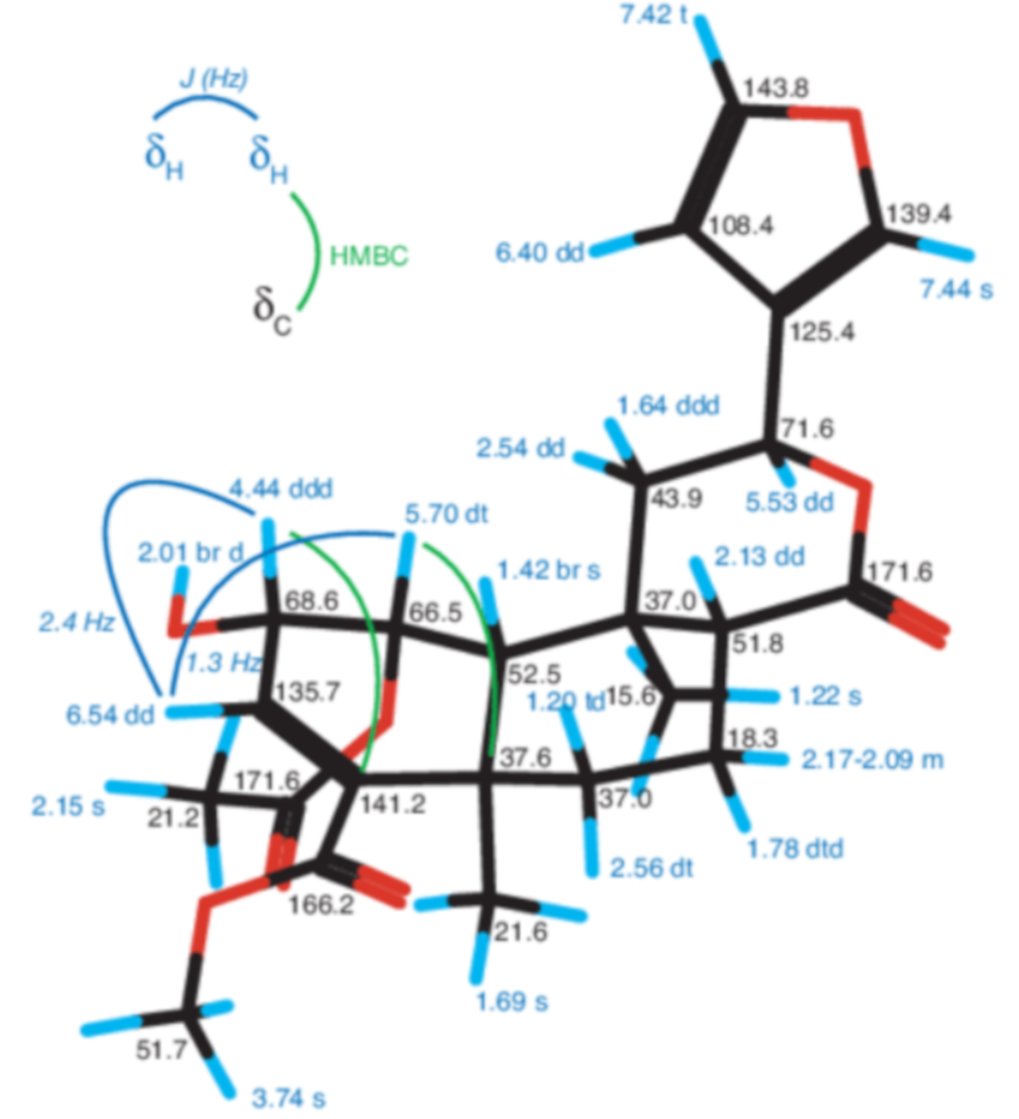 NMR-Based Structure Characterization