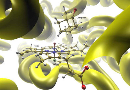 Combined Quantum Mechanical/Molecular Mechanical Methods (QM/MM)