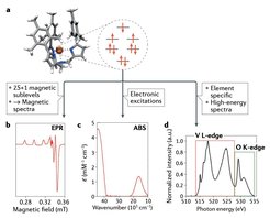 Das Zusammenspiel von Molekülspektroskopie und Quantenchemie bei der Aufklärung chemischer Prozesse wurde in einem kürzlich erschienenen NATURE REVIEW Artikel beleuchtet.
