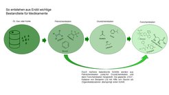 Die Gruppe von Ben List möchte die Synthese von Feinchemikalien mithilfe von neuen Katalysatoren verbessern.