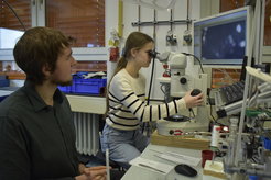 Girls learn how scientists work in the department of crystallography.