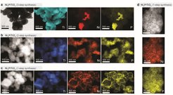 Dr. Constanze Neumann's team was able to prove that their catalyst (third line) is distributed much more finely on the carrier material than the catalysts that were produced in several synthesis steps (first and second line).