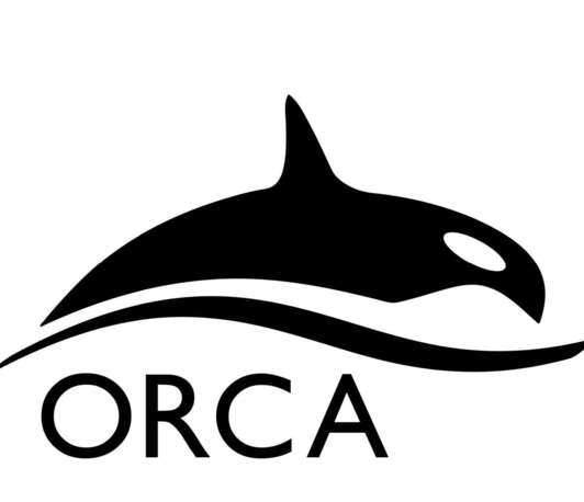 8<sup>th</sup> ORCA USER Meeting