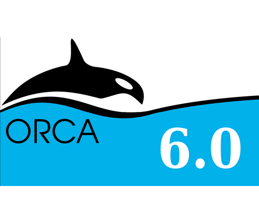 ORCA 6.0.0 Release ORCA 6.0.0 Release